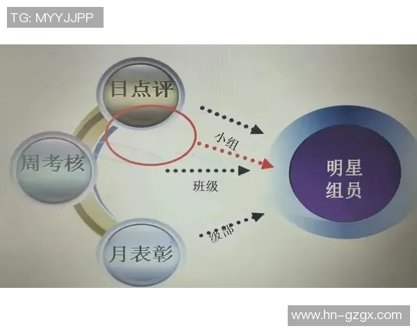 南京排球队杯赛表现分析：意识与团队协作的深度探讨